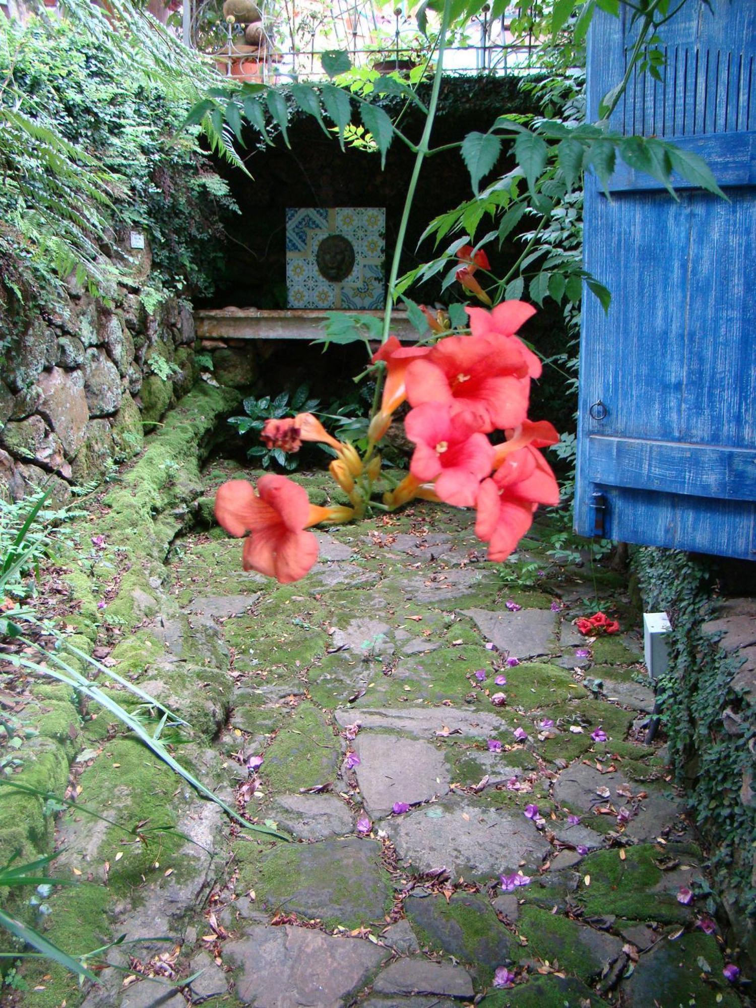 Villa Do Arquiteto Nova Petropolis Dış mekan fotoğraf